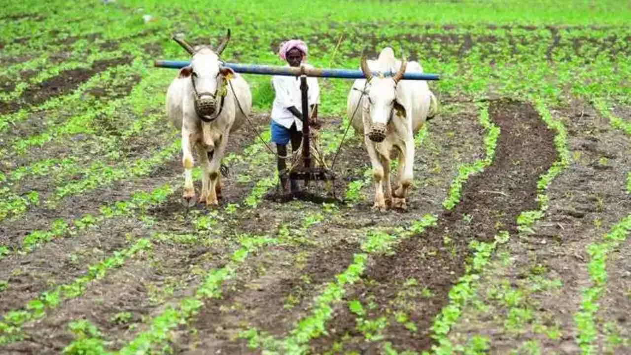 ખેડૂતો માટે મહત્ત્વના સમાચાર
