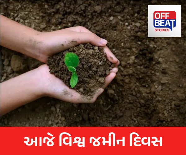 આજે વિશ્વ જમીન દિવસ