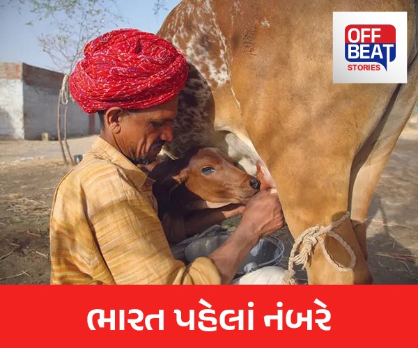 ‘શ્વેત’ રેકોર્ડ!