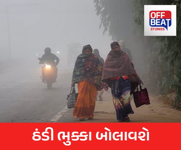 ઉત્તરાયણ પર કેવો રહેશે પવન?