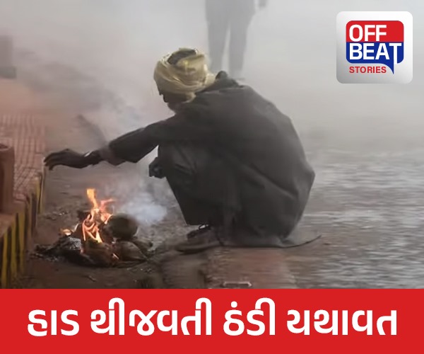 હાડ થીજવતી ઠંડી યથાવત