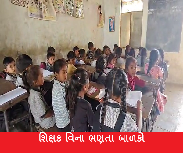 શિક્ષણની કડવી વાસ્તવિકતા