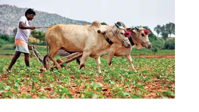 ખેડૂતો માટે સૌથી મોટી ખુશખબર