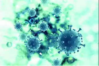 સાબરકાંઠા જિલ્લામાં HMVPનો શંકાસ્પદ કેસ