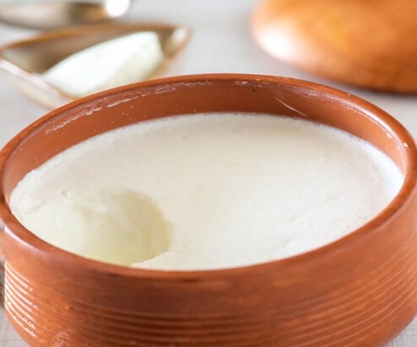 દહીં જમાવવાની ટ્રિક