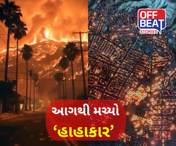 શું હોલીવુડ બળીને રાખ થઈ જશે?