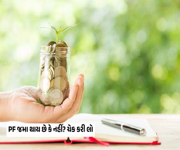 PF જમા થાય છે કે નહીં
