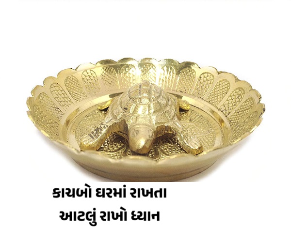 કાચબો કરાવશે ફાયદો