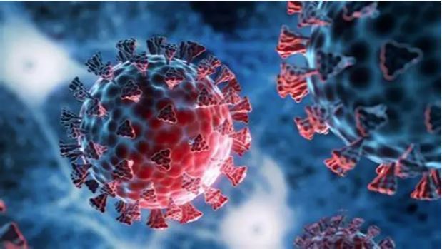 હવે આસામમાં પણ HMPVનું સંક્રમણ