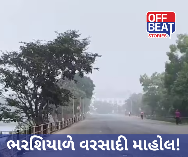 ડાંગના વાતાવરણમાં પલટો