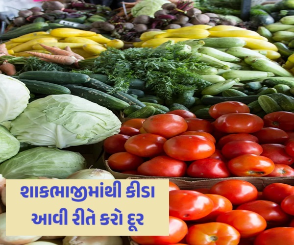 શાકભાજીને આમ કરો સાફ