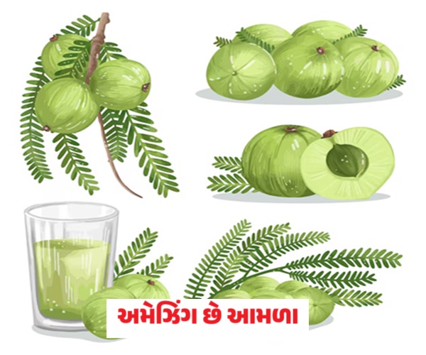 અમેઝિંગ આમળા