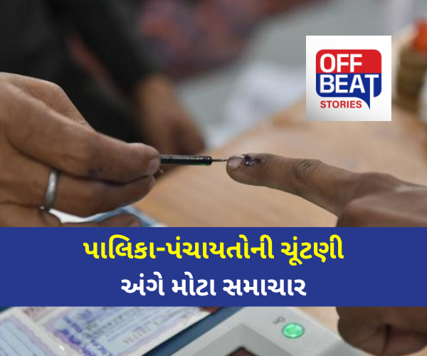 પાલિકા-પંચાયતોની ચૂંટણી અંગે મોટા સમાચાર