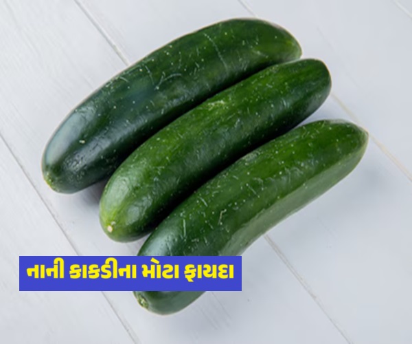સ્વાસ્થ્યનો ખજાનો છે કાકડી