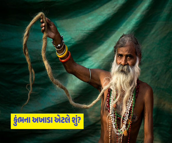 મહાકુંભના અખાડાની ગાથા