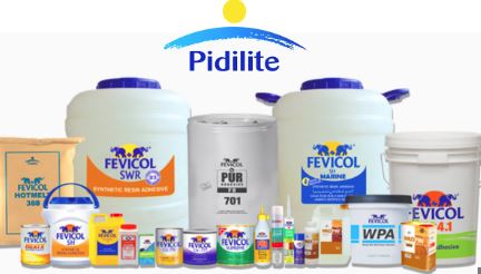 અત્યારે 9 ટકા પરંતુ ભવિષ્યમાં 35 ટકા ગ્રોથ આ શેરમાં