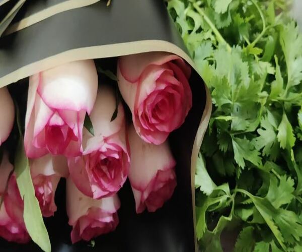 ગર્લફ્રેન્ડને મોકલ્યું ગુલાબનું બુકે