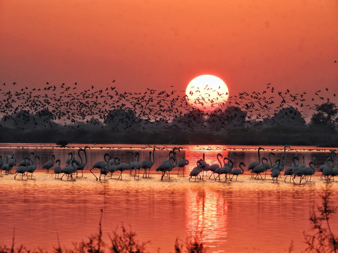 બે દિવસ નળ સરોવર રહેશે બંધ