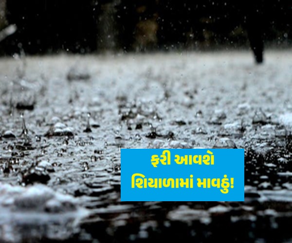 ફરી માવઠાની આગાહી