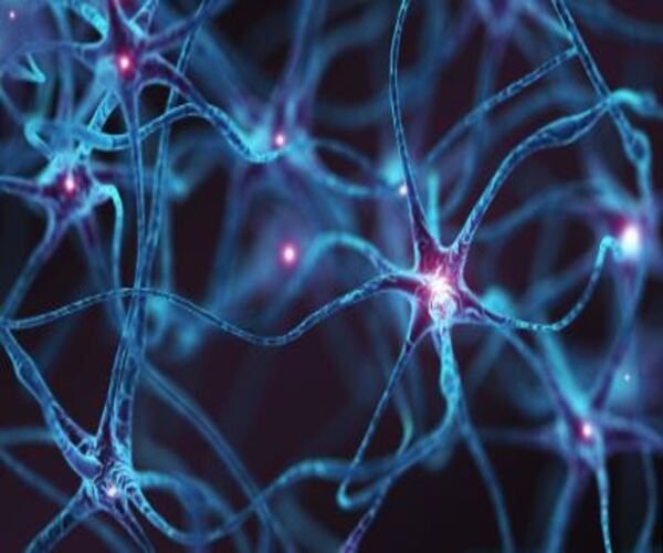 શંકાસ્પદ બિમારીથી પુણેમાં હાહાકાર