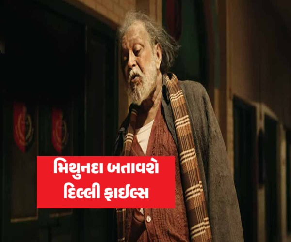 'ધ દિલ્લી ફાઈલ્સ'