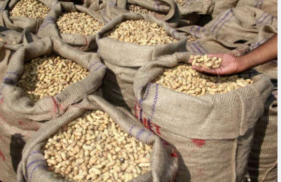 ગુજરાતના ખેડૂતોને હાશકારો