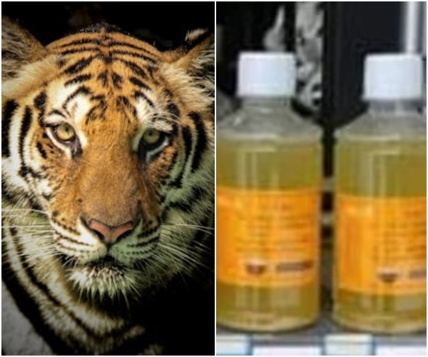 અરર આવું તે હોતું હશે...