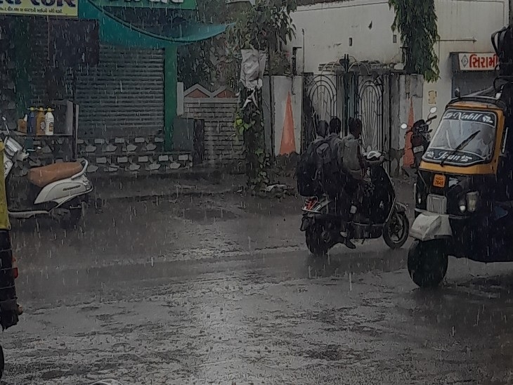 ઘઉંનો પાક હોય તો સાચવજો!