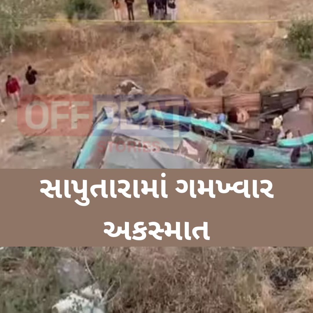 મોતની ચિચિયારીઓથી ગૂંજ્યું સાપુતારા