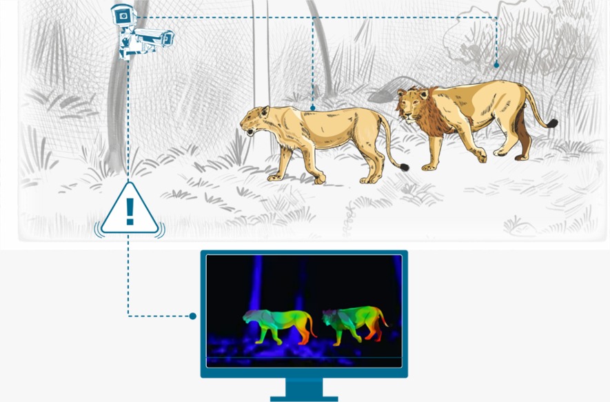 Wildlife Security Surveillance
