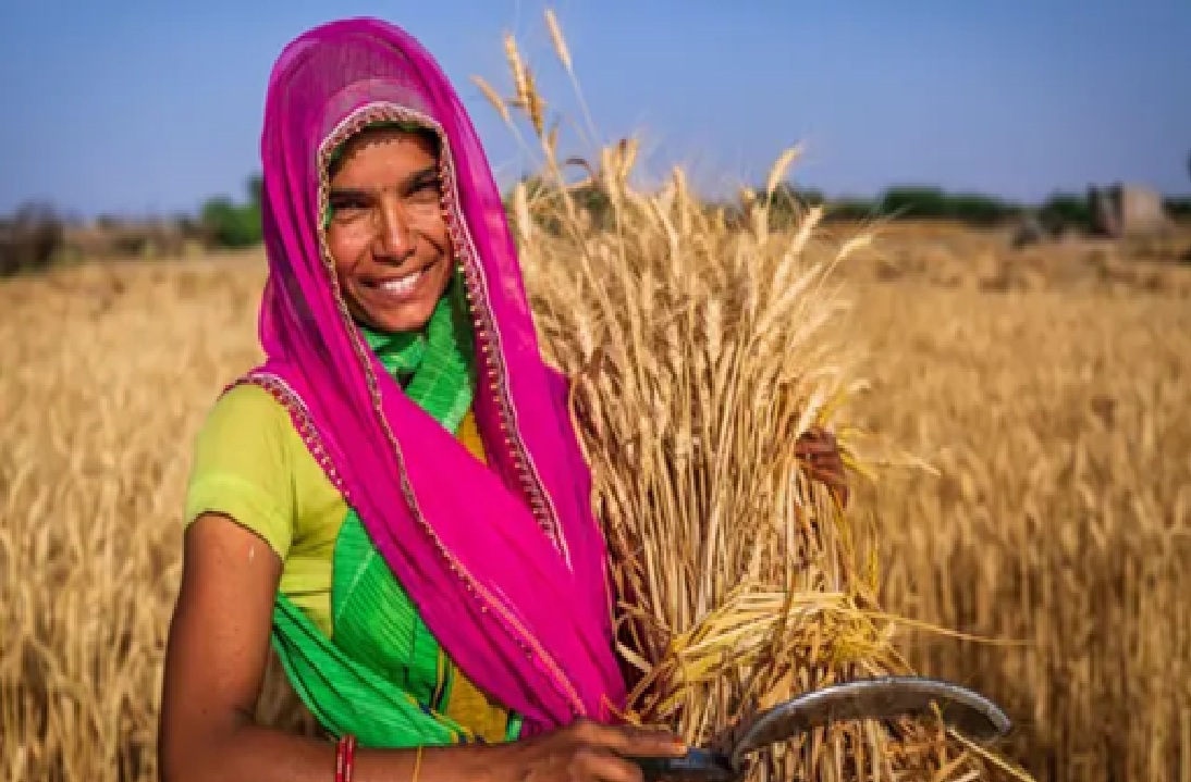 શું છે કૃષિ વૈવિધ્યકરણ યોજના?