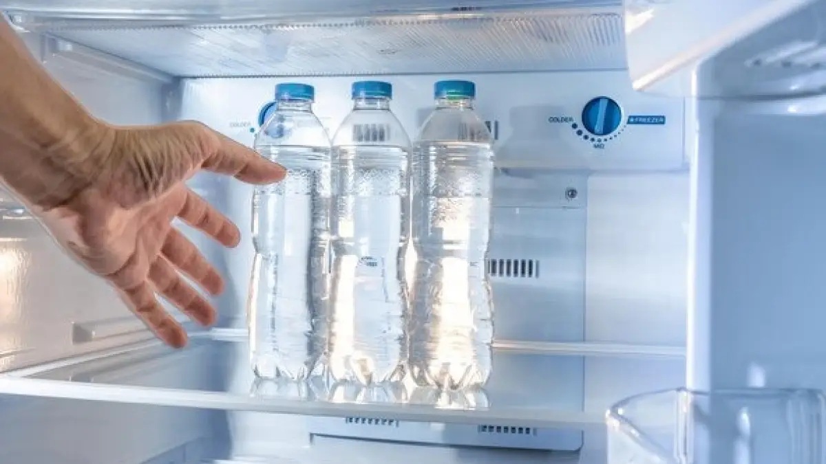 Lifestyle: શું તમે પણ પ્લાસ્ટિકની બોટલમાં પાણી પીઓ છો?