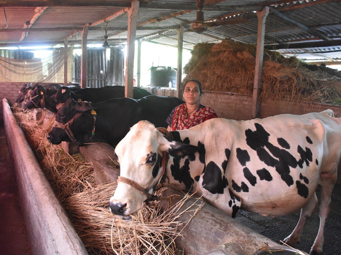 ગુજરાત સરકારે વધારી સબસીડીની રકમ