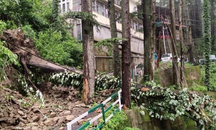 હિમાચલમાં વૃક્ષ પડવાથી 6 લોકોના મૃત્યુ