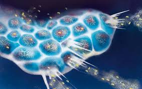 લો બોલો...  ચીને બનાવી છે નવી થેરાપી