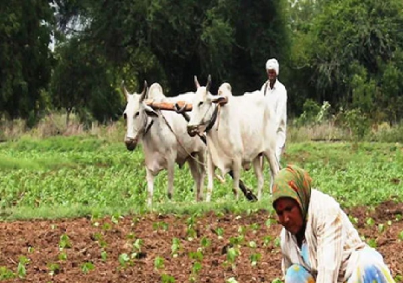 ભૂપેન્દ્ર પટેલ સરકારનો મોટો નિર્ણય