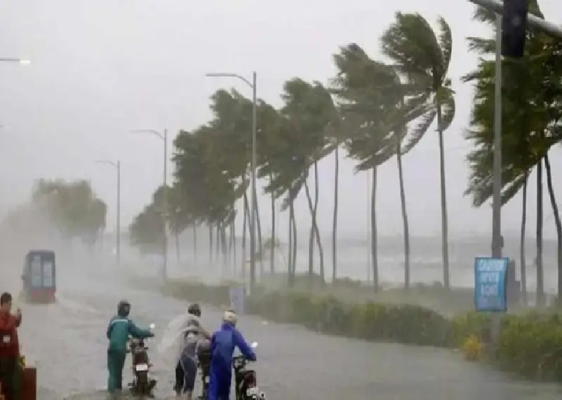 હવામાન વિભાગનું લેટેસ્ટ અપડેટ