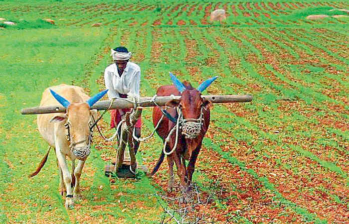 ધોમધખતા તાપમાં ખેડૂતોને જરૂરી સૂચનો