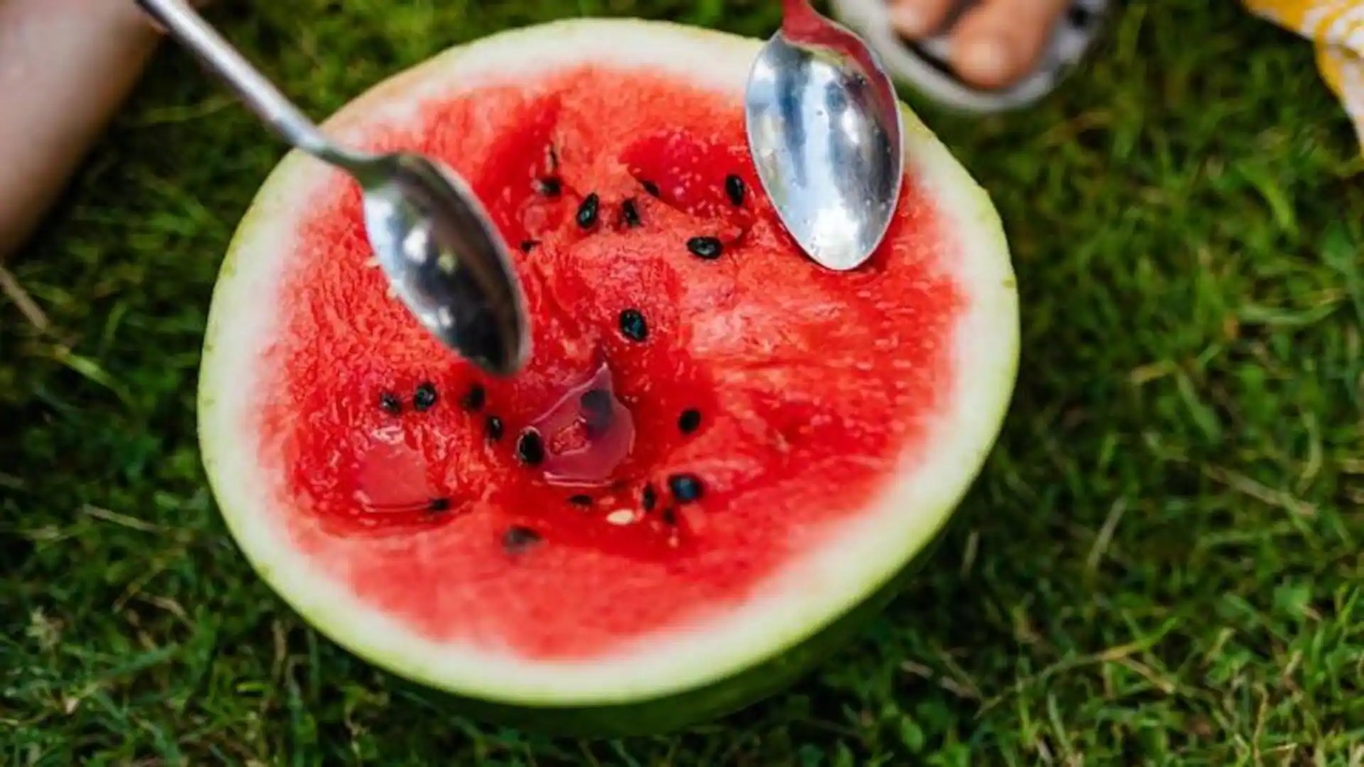 શું તમે પણ તરબૂચ સાથે ખાઓ છો તેના બિયાં