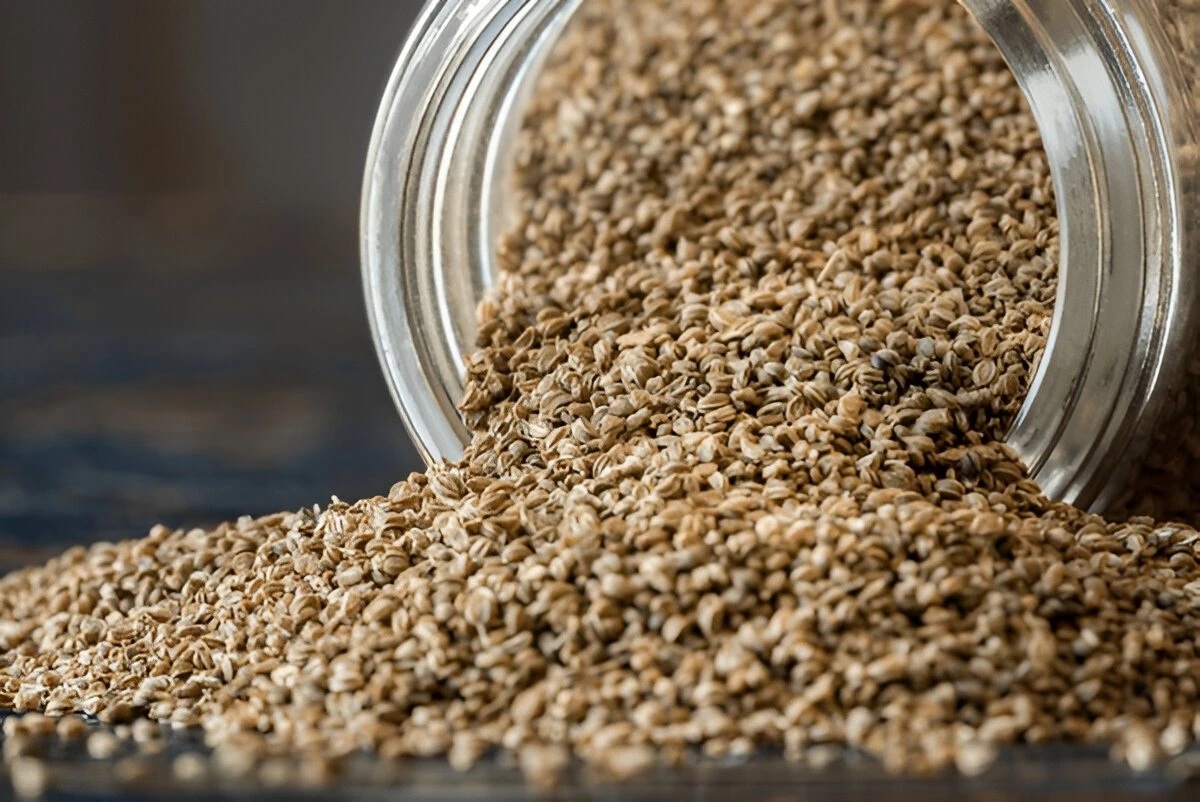 ઔષધીય ગુણોથી ભરપૂર છે અજમો