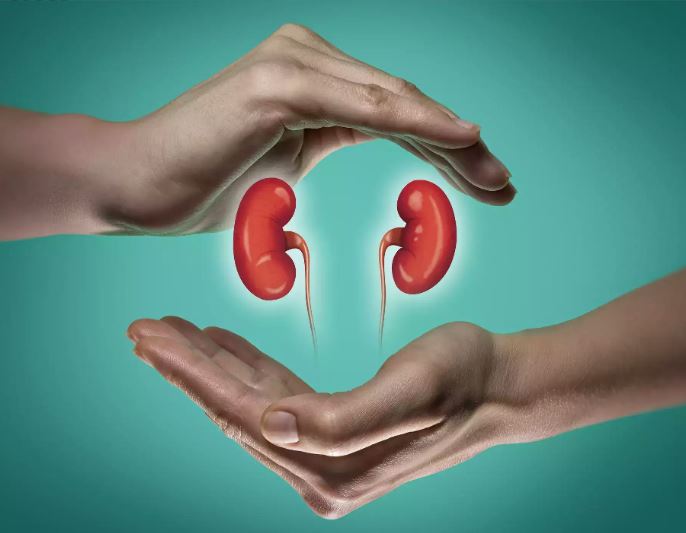 ખરાબ કિડનીની આ છે નિશાની