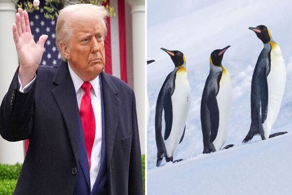 આવી રીતે ચીન ટેરિફથી બચતુ આવ્યું છે