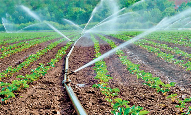 ગુજરાતમાં સતત વધી રહ્યો છે સૂક્ષ્મ સિંચાઈ પદ્ધતિનો વ્યાપ