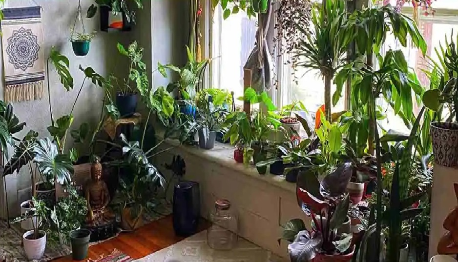 આ છે 5 સરળ રીત