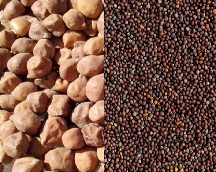 ગુજરાતના ખેડૂતોના હિતમાં સરકારનો મહત્વપૂર્ણ નિર્ણય