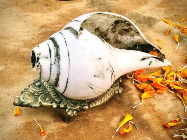 વાસ્તુ અનુસાર ઘરમાં શંખ ​​રાખવાથી શું ફાયદા થાય છે?