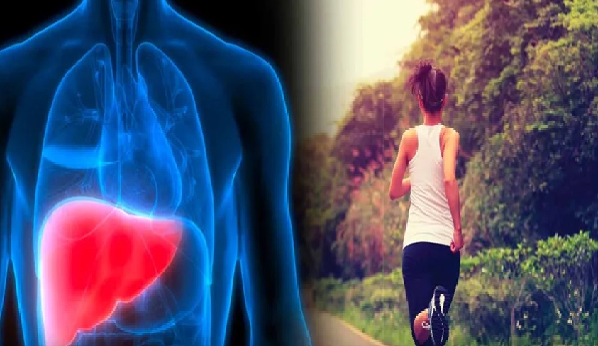 લીવરને કેવી રીતે રાખશો હેલ્ધી?