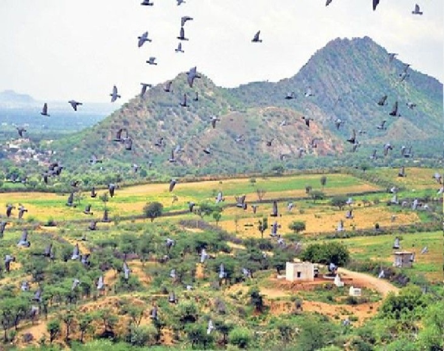 ગુજરાતના આ જિલ્લાની બદલાઈ જશે તાસીર!