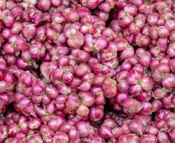 ડુંગળીના ટેકાના ભાવની નારણ કાછડિયાની માગ