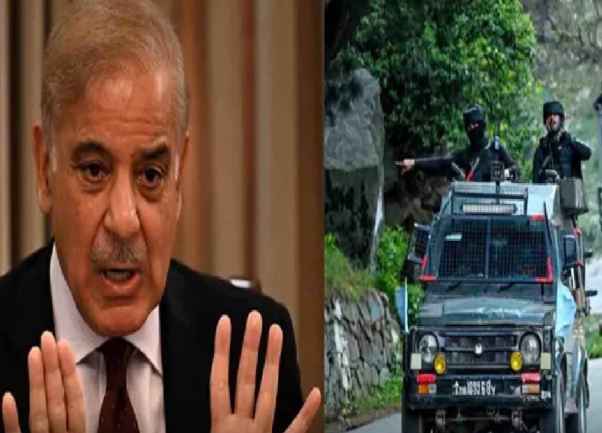 ‘આતંકીઓને પનાહ આપો છે...’